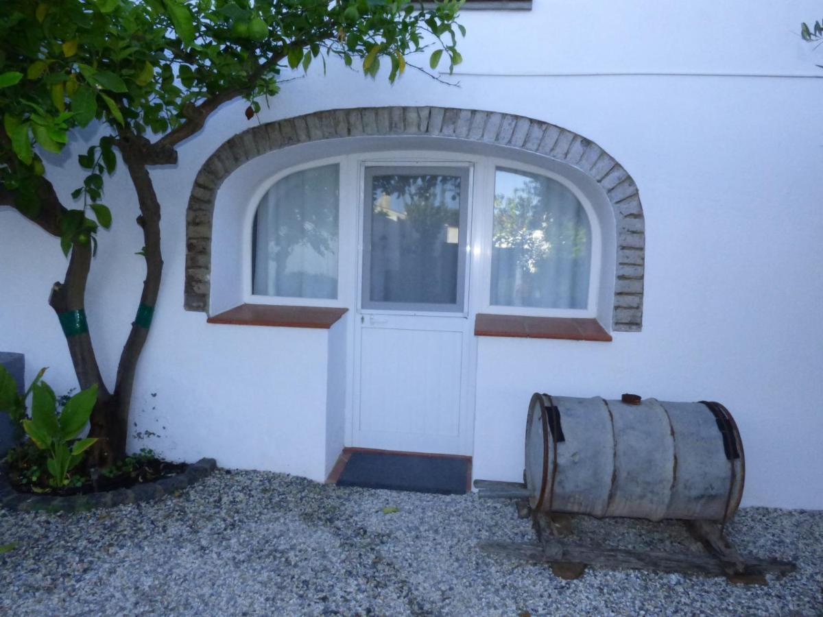 Solar Da Cumeada Bed & Breakfast Регуенгос де Монсараз Екстериор снимка
